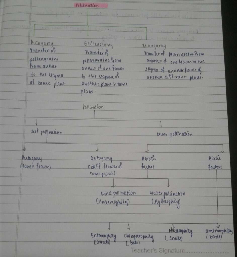 Pollination In flowering plants Flowchart and microsporogenesis - StudiGoo