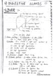 Liver