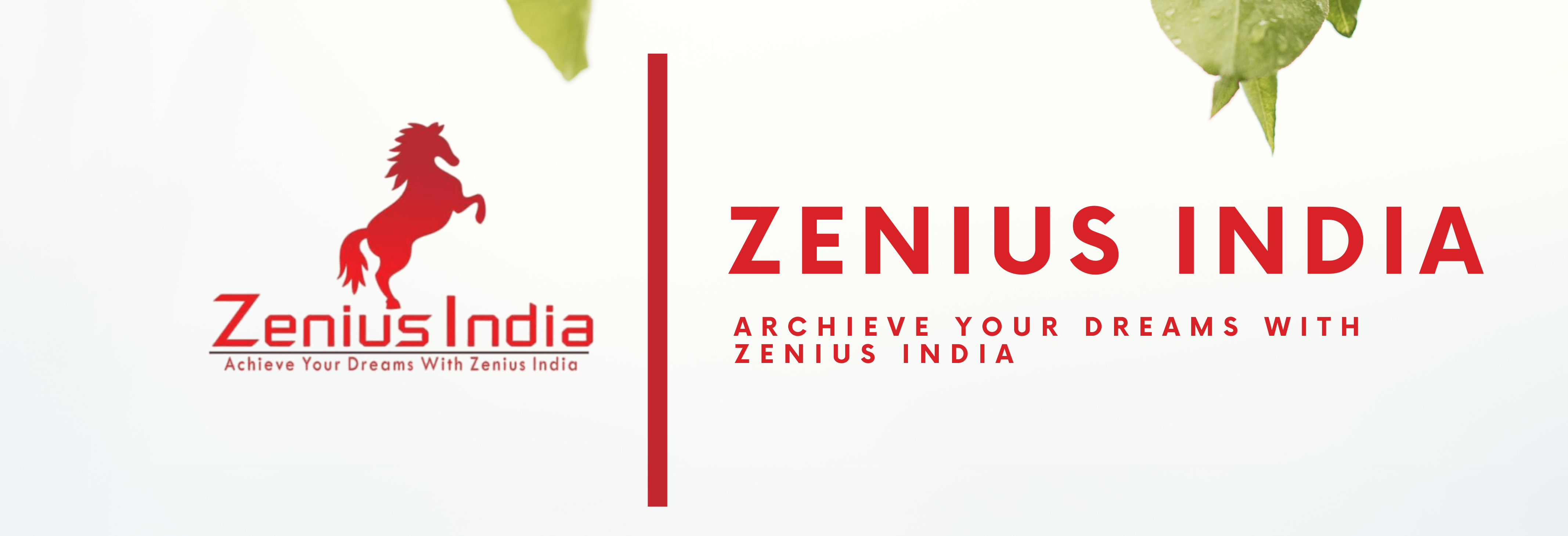 Zenius India