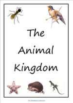 ANIMAL KINGDOM [ CLASS 11 ] [ FOR NEET ]