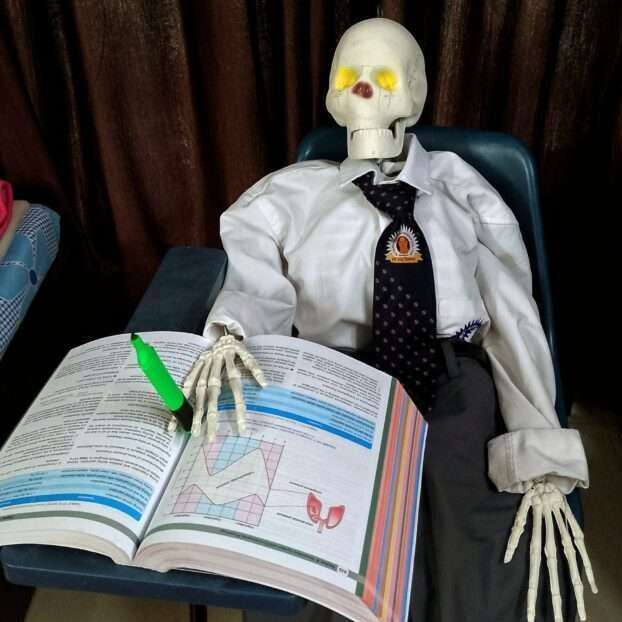 The Med Nerd
