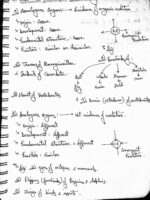 Class-12 biology Evolution NCERT simplified notes - Image 2