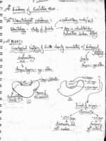 Class-12 biology Evolution NCERT simplified notes - Image 3