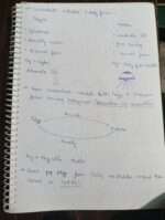Zoology class 12th ANIMAL KINGDOM notes - Image 11