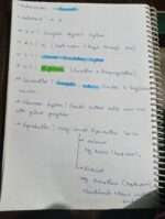 Zoology class 12th ANIMAL KINGDOM notes - Image 18