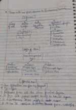 Structural organisation in animals - complete NEET Zoology notes ["Handwritten with diagrams | Class 11 biology"] - Image 3