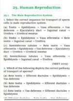 MCQ NEET BIOLOGY/CLASS 12 CBSE - Image 2
