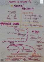 MARROW IN MINUTES PEDIATRICS 1- NORMAL NEWBORN - Image 2