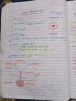 Chapter 15 blood fluid and circulation in hindi-midium - Image 13