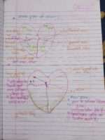 Chapter 15 blood fluid and circulation in hindi-midium - Image 14