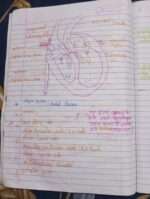 Chapter 15 blood fluid and circulation in hindi-midium - Image 15