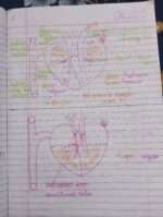 Chapter 15 blood fluid and circulation in hindi-midium - Image 16