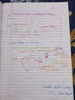 Chapter 15 blood fluid and circulation in hindi-midium - Image 20