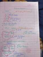 Chapter 15 blood fluid and circulation in hindi-midium - Image 12