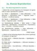 MCQ NEET BIOLOGY/CLASS 12 CBSE