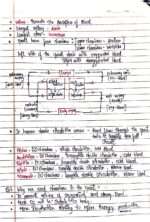 Class 10th life process - Image 10