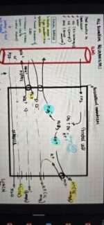 GIT(Gastric secretions) - Image 3