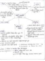 Complete Modern History of India - Image 3