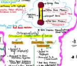 Bone Classification - Image 2