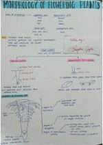 Morphology of Flowering Plants – Complete Notes & Important Questions (Biology) - Image 2