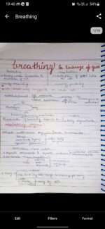 Breathing and exchange of gases - Image 2