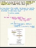 Blood Physiology (Guyton reference) - Image 5