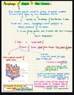 Blood Physiology (Guyton reference) - Image 3