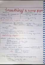 Breathing and exchange of gases