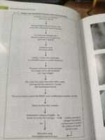 Endodontics notes - Image 2