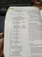 Endodontics notes - Image 3