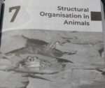 Multiple Questions for Structural organization in animals (Biology class11)