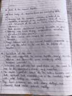 Class 9 cbse history lesson Nazism and the rise of Hitler notes - Image 2