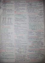 Principles of inheritance and variations - Image 4