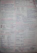 Principles of inheritance and variations - Image 5