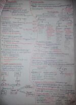 Principles of inheritance and variations - Image 6