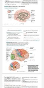 Principles of anatomy & physiology - Image 2