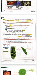 Botany med easy by bipin sharma - Image 2