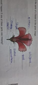 10 cbse class important for borad exam next year 2027 - Image 2