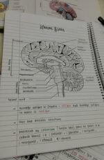 Biology important figures - Image 4