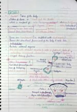 Structural Organization in Animals – NEET Biology Notes - Image 3