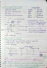 Structural Organization in Animals – NEET Biology Notes - Image 5