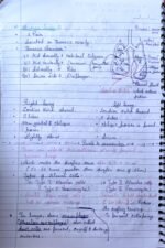 Breathing and Exchange of Gases – NEET Biology Notes | Class 11 Human Physiology - Image 5