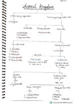 The Animal Kingdom ( Class 11 biology) - Image 3