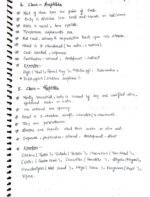 The Animal Kingdom ( Class 11 biology) - Image 4