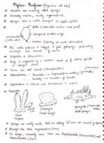 The Animal Kingdom ( Class 11 biology) - Image 6