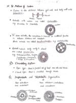 The Animal Kingdom ( Class 11 biology) - Image 8