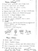 The Animal Kingdom ( Class 11 biology) - Image 11