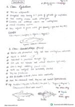 The Animal Kingdom ( Class 11 biology) - Image 9