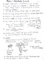 The Animal Kingdom ( Class 11 biology) - Image 13