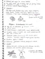 The Animal Kingdom ( Class 11 biology) - Image 15